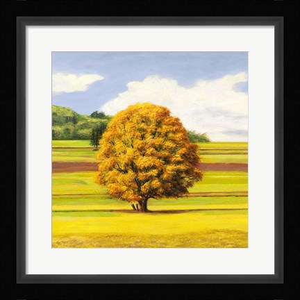 Framed Pianure Serene I (detail) Print