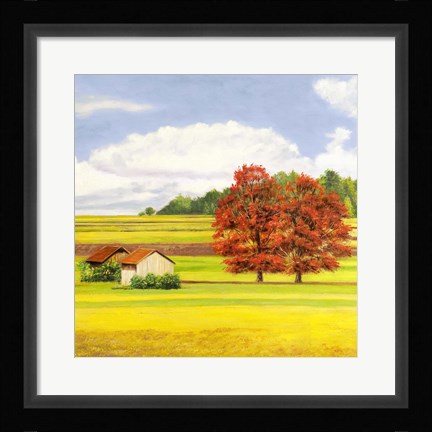 Framed Pianure Serene II (detail) Print