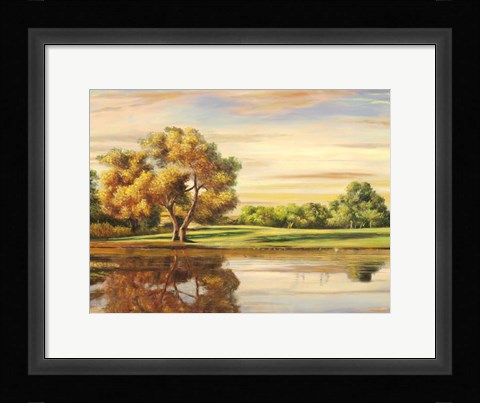 Framed Riflessi sul Lago (detail) Print