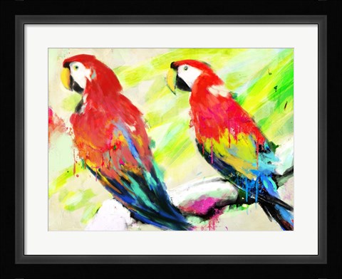 Framed Ara Ara Print