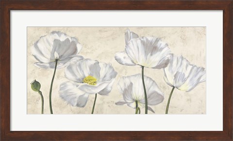 Framed Poppies in White Print