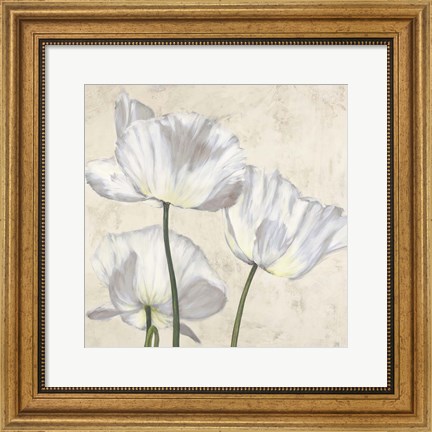 Framed Poppies in White II Print