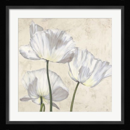 Framed Poppies in White II Print