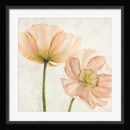 Framed Poppies in Pink II Print