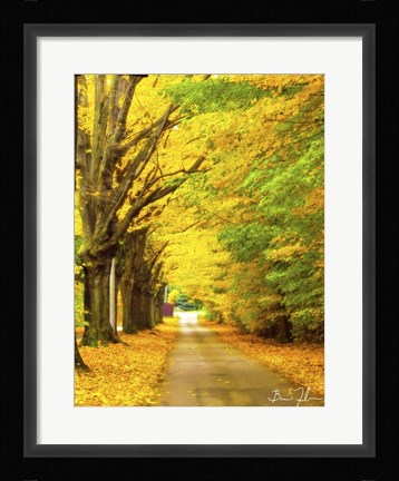 Framed Autumn Gold Print
