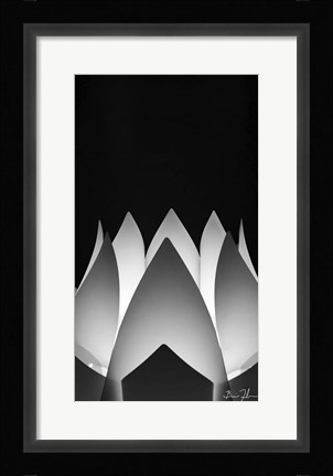Framed Flower Abstract Print