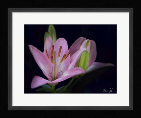 Framed Intimate Print