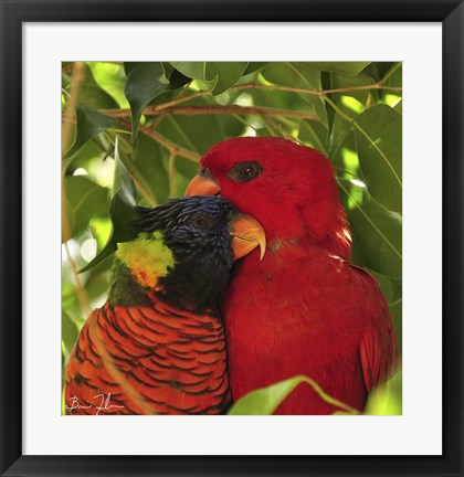 Framed Sticking Together Print