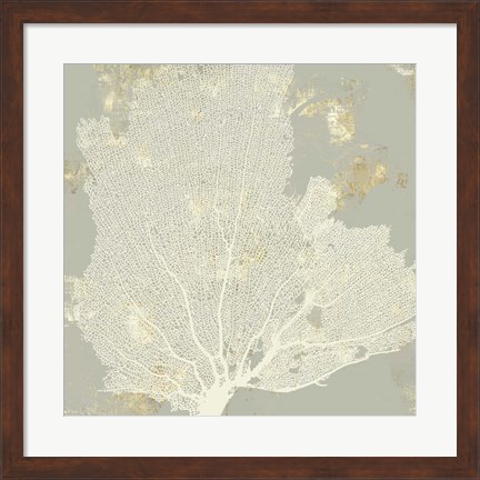 Framed Sea Coral I Print