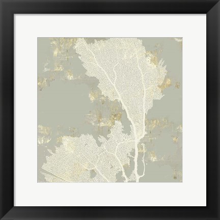 Framed Sea Coral II Print