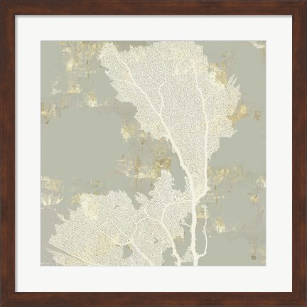 Framed Sea Coral II Print