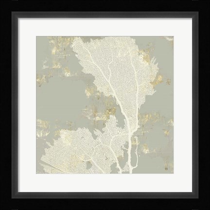 Framed Sea Coral II Print
