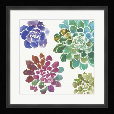 Framed Water Succulents II Print