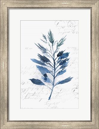 Framed Botanical Blue II Print