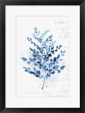 Framed Botanical Blue III Print
