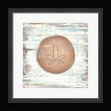 Framed Ocean Sand Dollar Print