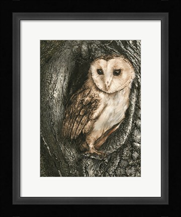 Framed Barn Owl Roost Print