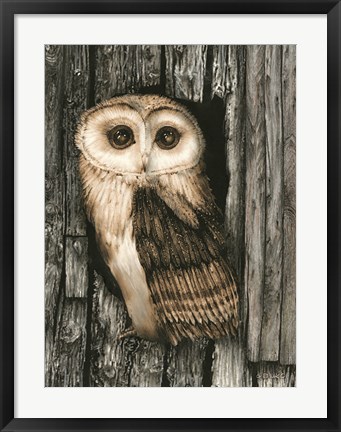 Framed Owl Sentry Print