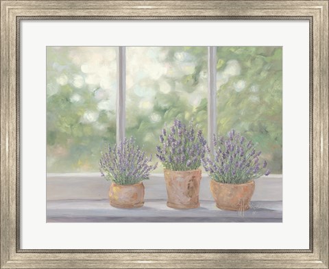 Framed Lavender Pots Print
