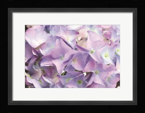 Framed Violet Hydrangeas Print