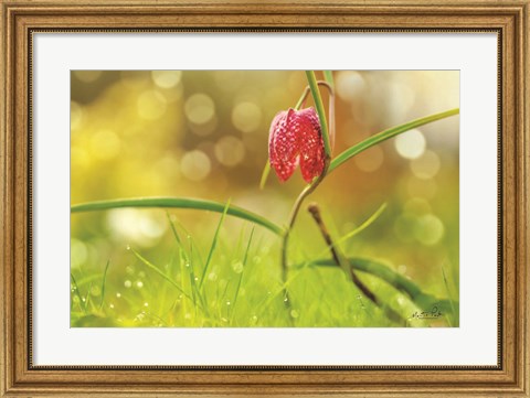 Framed Fritillaria Print