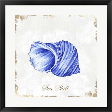 Framed Blue Seashell Print