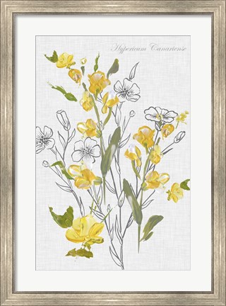 Framed Botantical Yellow Flowers Print