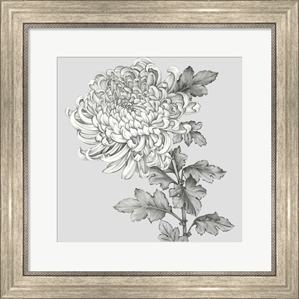 Framed Grey Botanical I Print