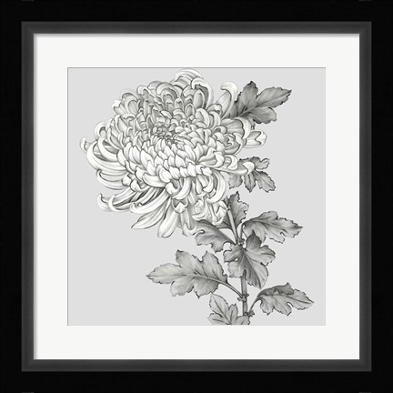 Framed Grey Botanical I Print