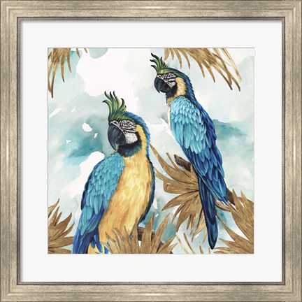 Framed Golden Parrots Print