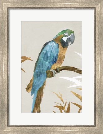 Framed Blue Parrot I Print