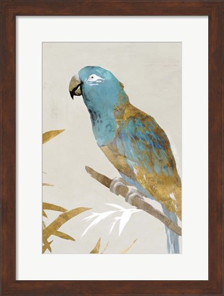Framed Blue Parrot II Print