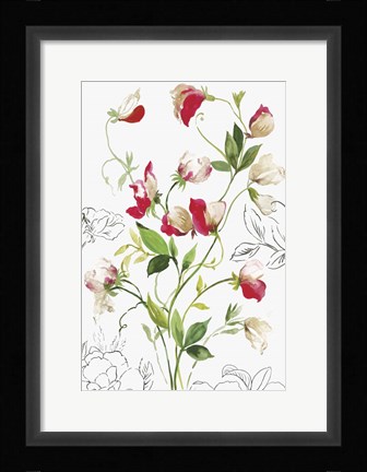 Framed Florecer II Print