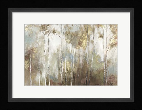 Framed Fine Birch III Print