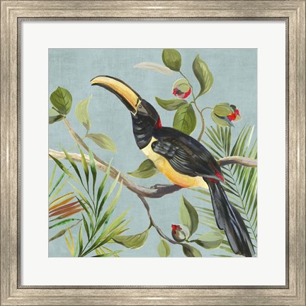 Framed Paradise Toucan II Print