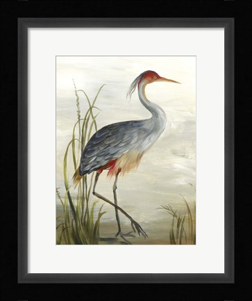 Framed Grey Heron Print