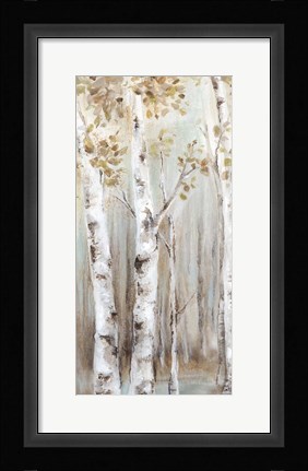 Framed Sunset Birch Forest I Print