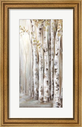 Framed Sunset Birch Forest II Print