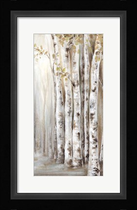Framed Sunset Birch Forest II Print