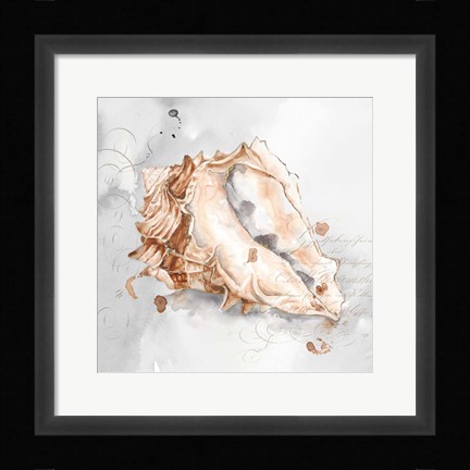 Framed Blush Shell III Print