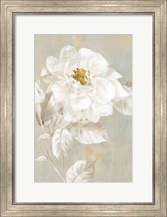Framed White Rose I Print