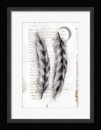 Framed Vintage Feathers I Print