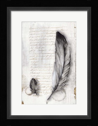 Framed Vintage Feathers II Print
