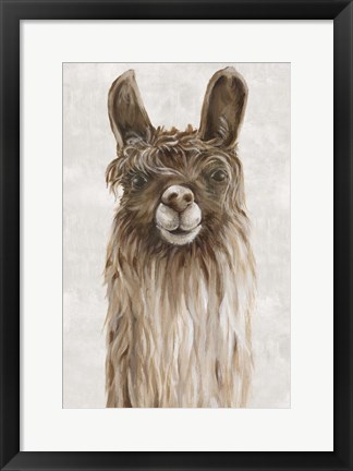 Framed Suri Alpaca I Print