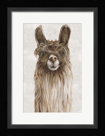 Framed Suri Alpaca I Print