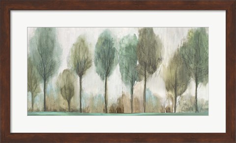 Framed Tall Trees Print