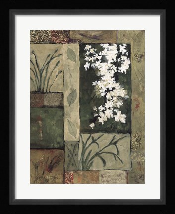 Framed Nature's Bounty II Print