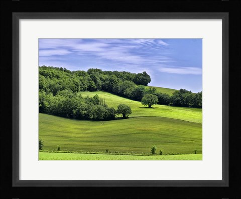 Framed Pastoral Countryside II Print