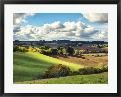 Framed Pastoral Countryside III Print