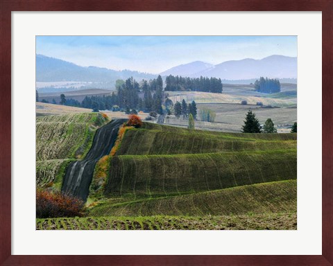 Framed Pastoral Countryside XIII Print